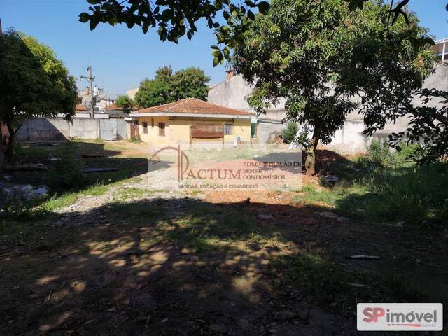 #1436 - Casa para Locação em São Paulo - SP