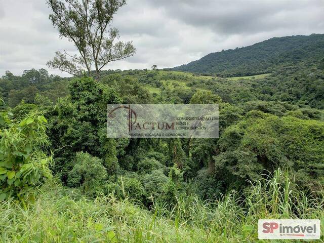 #1737 - Terreno para Venda em São Paulo - SP - 3