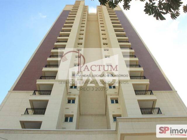 Venda em Jardim São Paulo(Zona Norte) - São Paulo